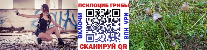 Псилоцибиновые грибы мицелий Армянск