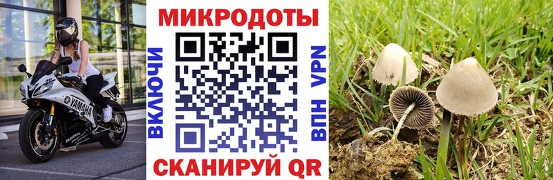 Псилоцибиновые грибы MAGIC MUSHROOMS  blacksprut зеркало  Армянск  продажа наркотиков 